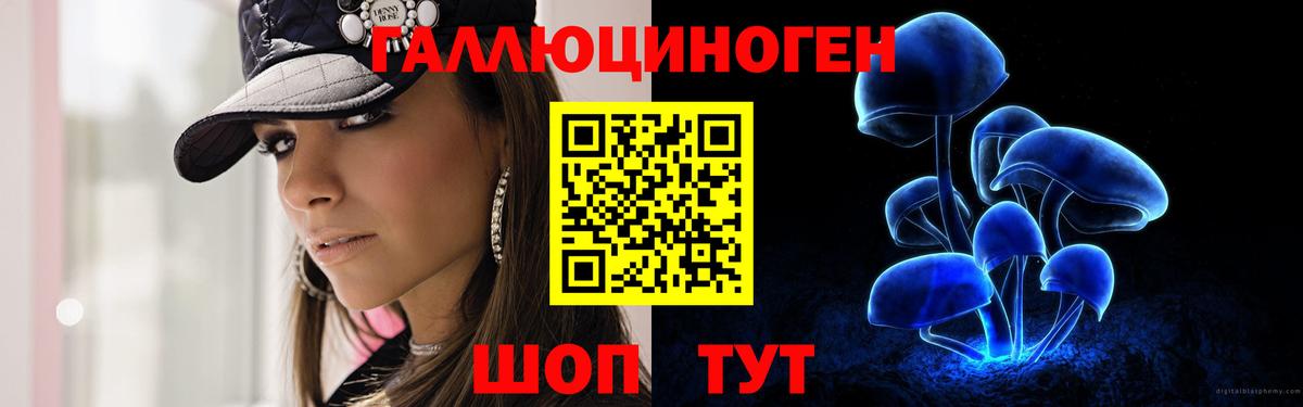 Псилоцибиновые грибы мицелий Саяногорск