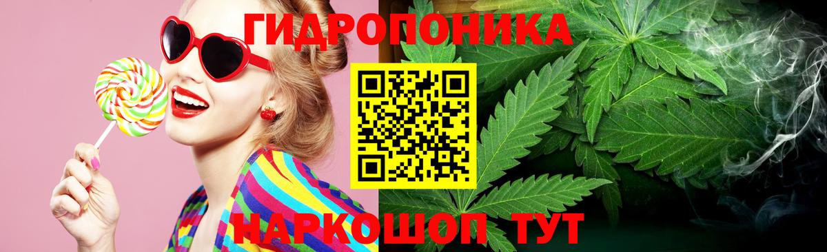 Бошки марихуана семена  Вход с VPN  Конопля Bruce Banner  Шишки марихуана план  Шишки марихуана LSD WEED  Саяногорск 